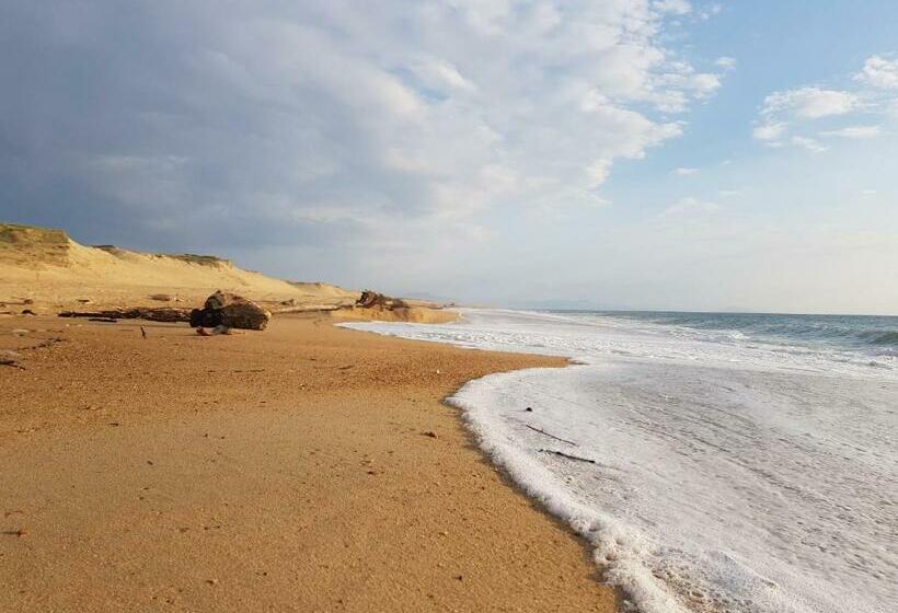 הוסטל Shifting Sands Surf Camp