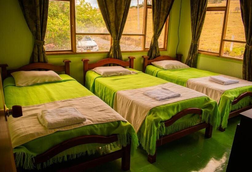 هاستل Miramonte Hostal