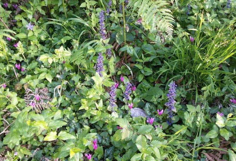 민박 I Suoni Di Valle Martina