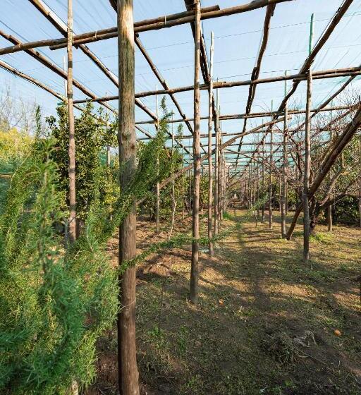 פנסיון Pane E Marmellata