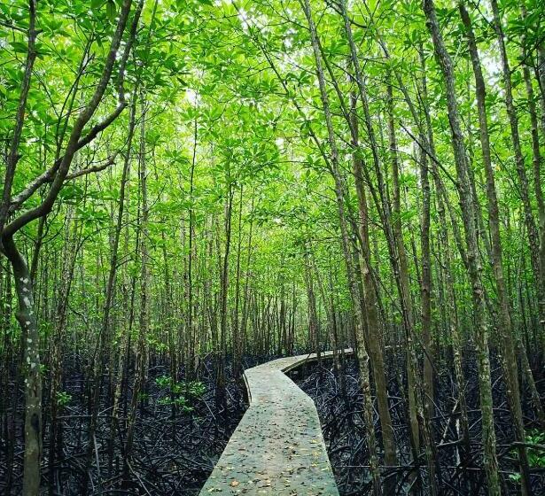 אתר נופש Calm At Bangphat