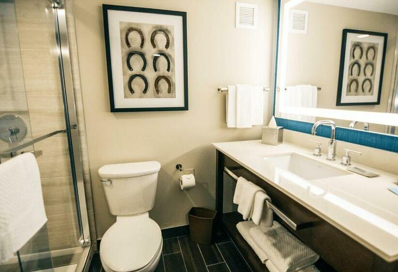 فندق Doubletree By Hilton Lubbock  University Area