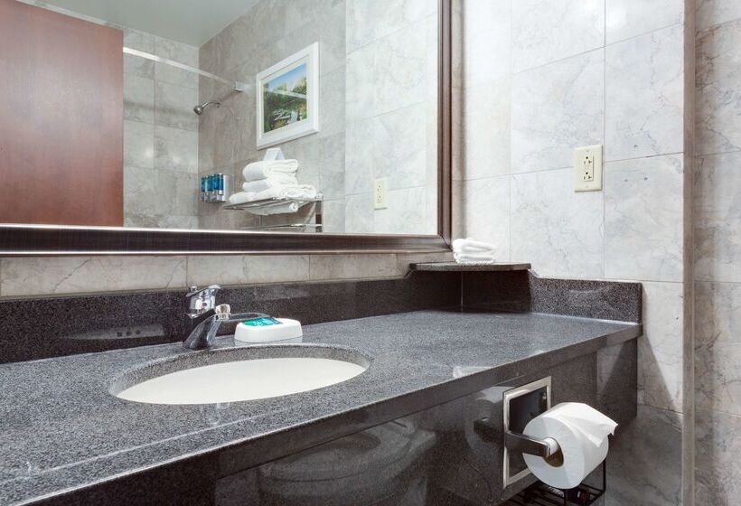 هتل Drury Plaza St Louis At The Arch