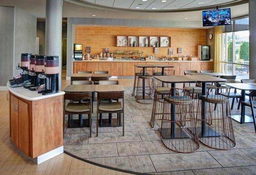 هتل Springhill Suites By Marriott Saginaw