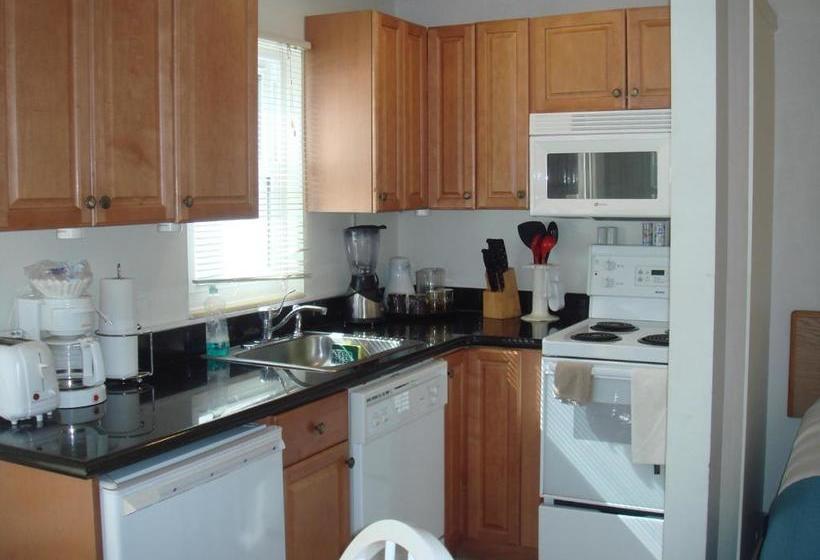 فندق على الطريق Beach Shell Inn