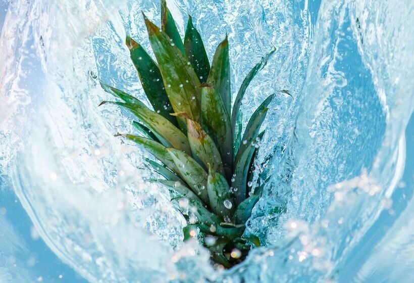 منتجع Parrot Key Hotel & Villas