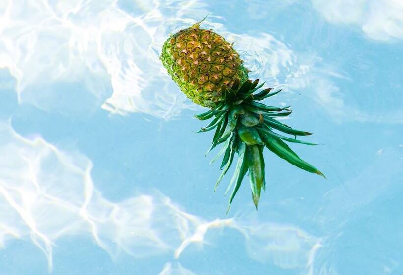 منتجع Parrot Key Hotel & Villas