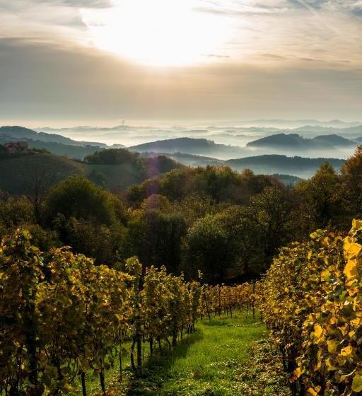 هاستل Lieperts Cafè Dinners