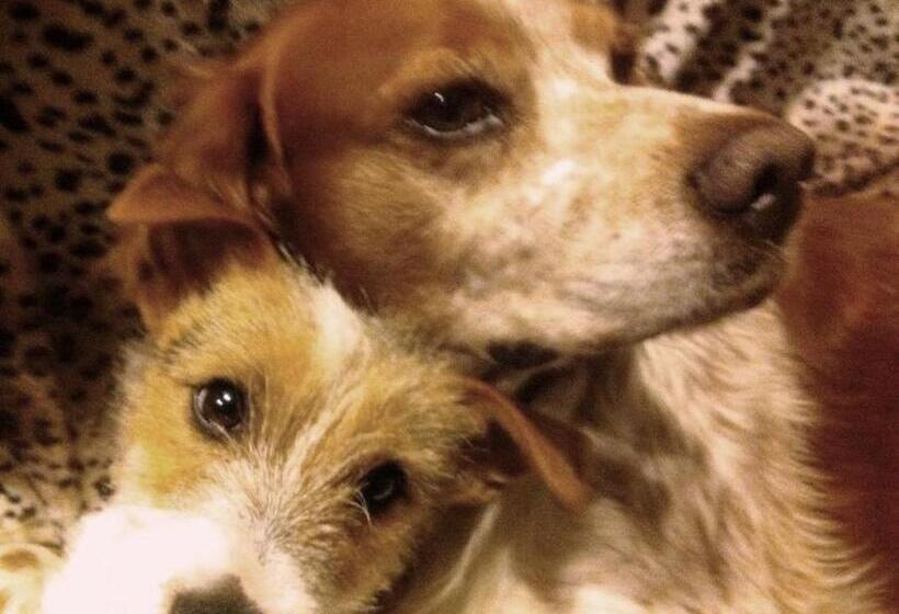 مبيت وإفطار Chambre D Hôte Chez Antoinette Et Charles