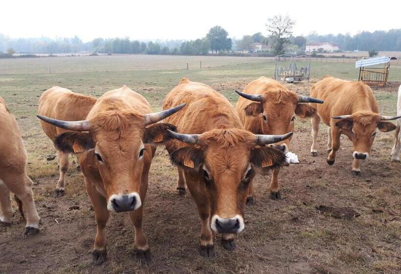 צימר L Orme Vial