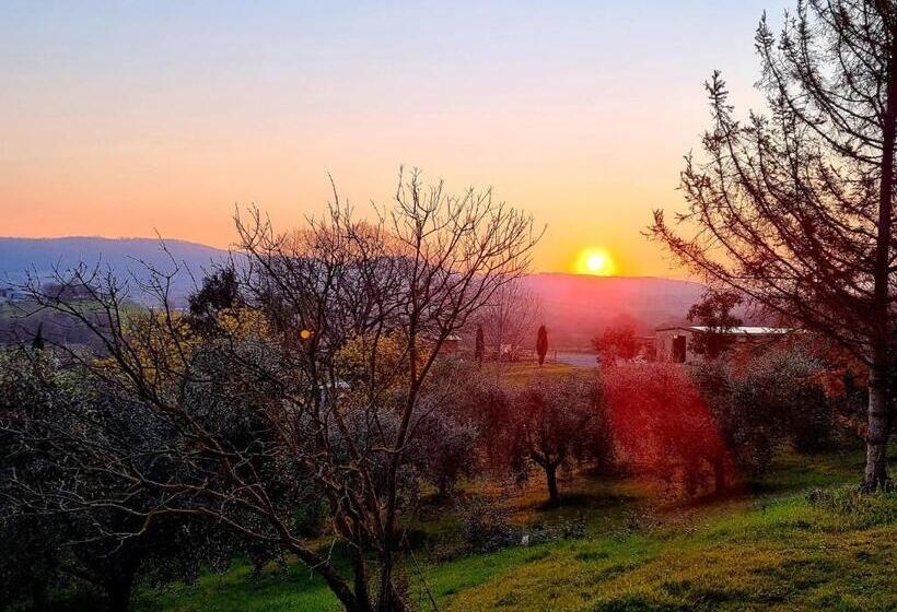 فندق Agriturismo Poggio La Buca
