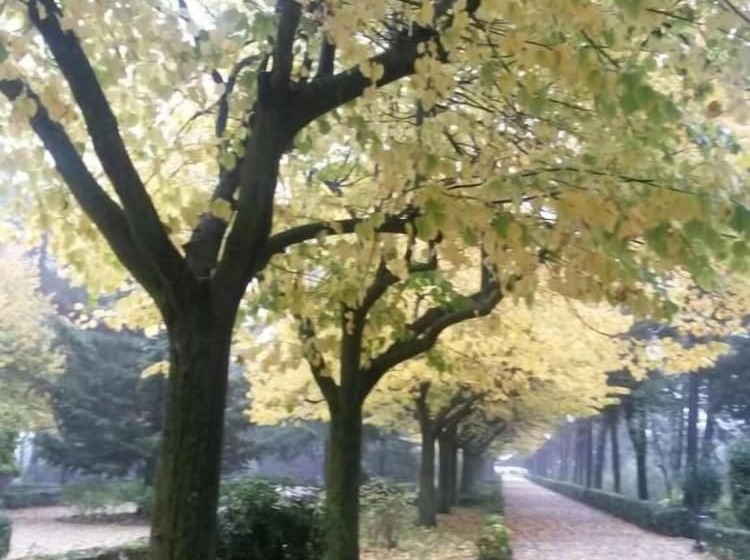 فندق Du Parc