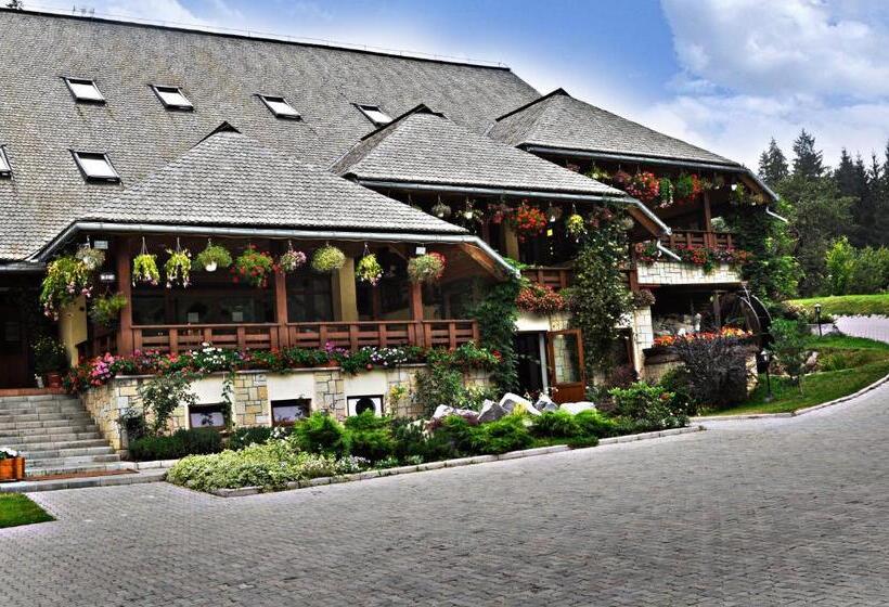 استراحتگاه Complex Turistic Bucovina
