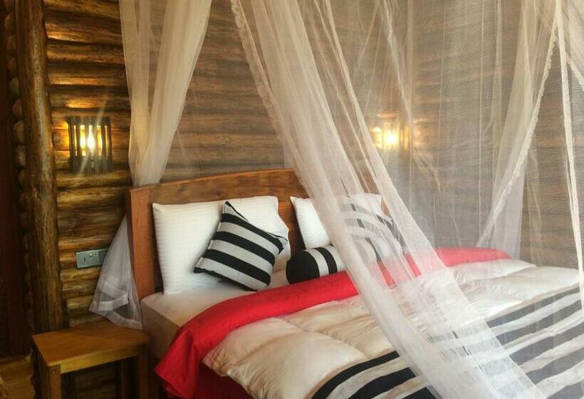 هاستل Felicity Inn