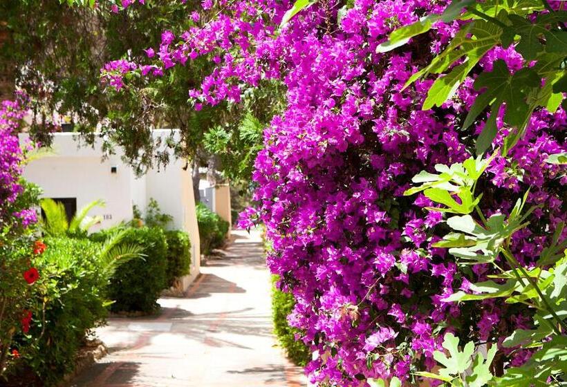 リゾートホテル Apartamentos Club Cala Azul