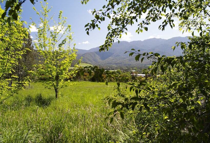 مبيت وإفطار The Buckland Studios