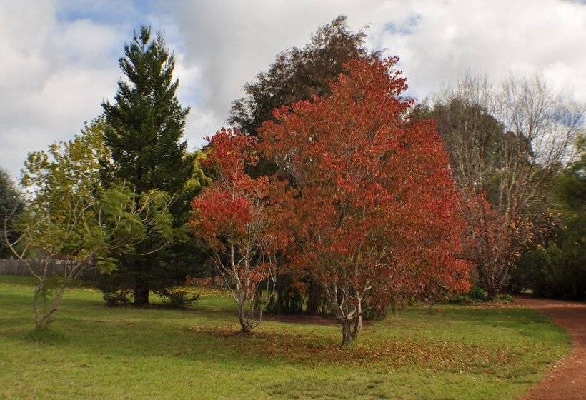 Big Brook Retreat