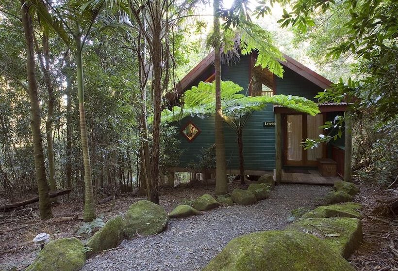 Springbrook Lyrebird Retreat