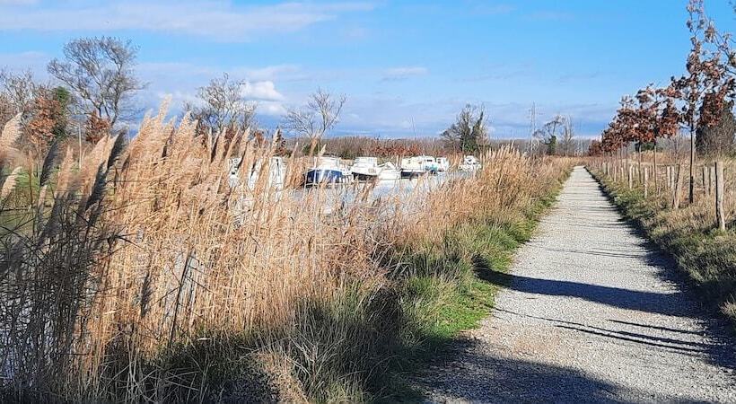 ペンション Gîte Et Chambres D Hôtes  Le Coq Du Nord   Mailhac