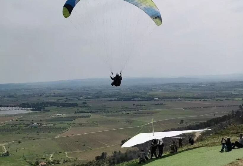 ペンション Gîte Et Chambres D Hôtes  Le Coq Du Nord   Mailhac