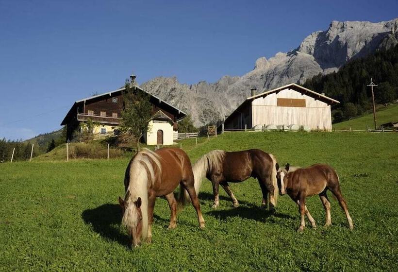 Ferienbauernhof Elmaugut