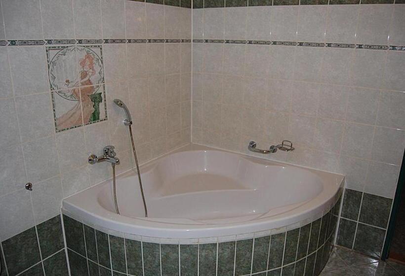 هتل Richmond Teplice