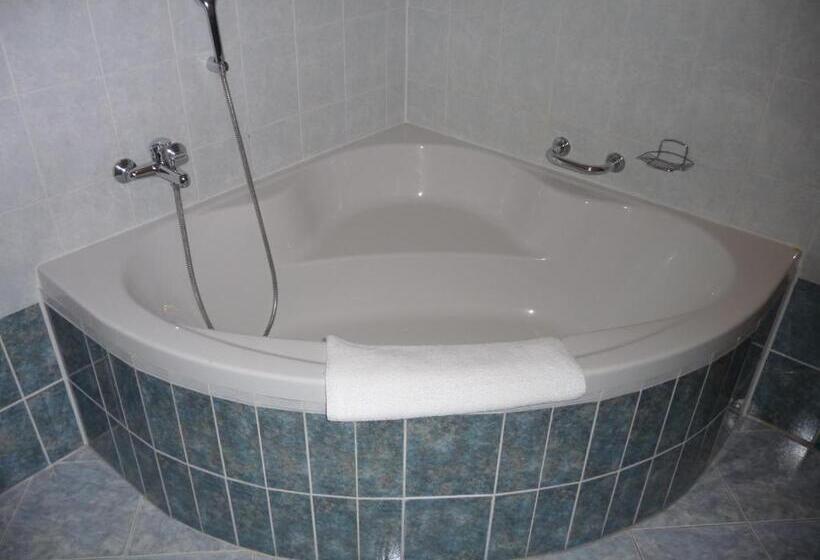 هتل Richmond Teplice