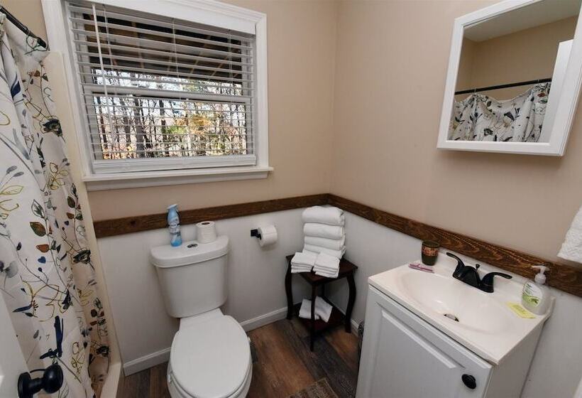 Misty Mountains Manor & Overlook  Blue Ridge Ga