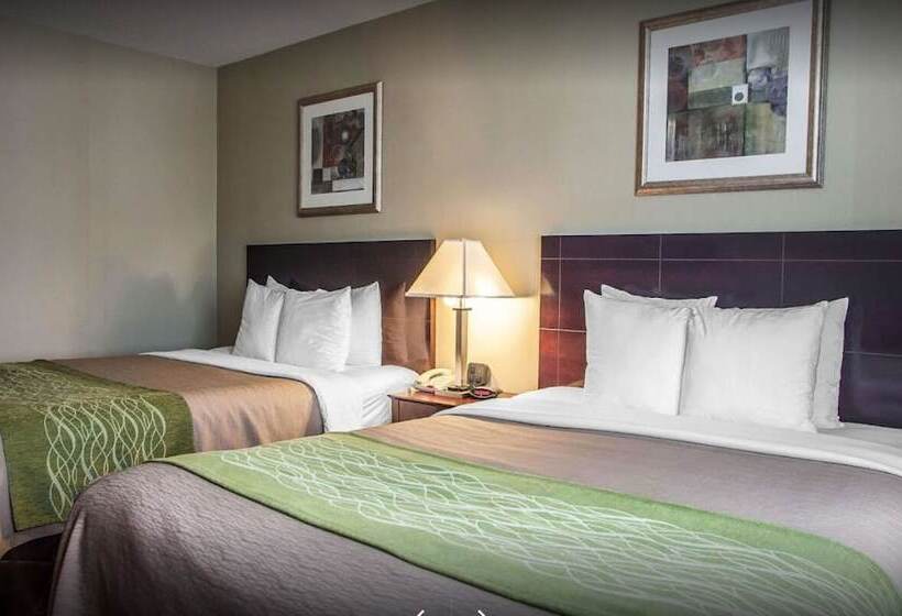 모텔 Avon Hotel Toms River