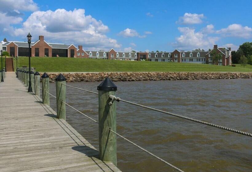 هتل Spectacular Top Floor Deluxe Suite With Beautiful View & More!