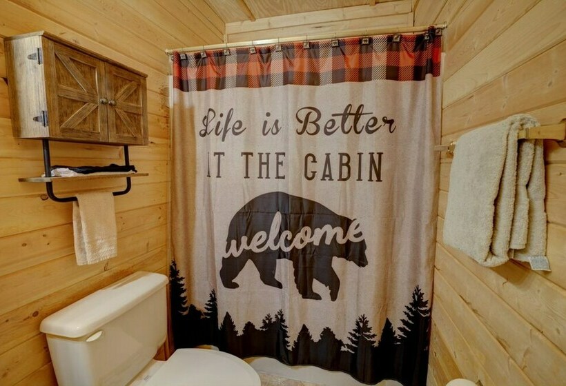 Amazing Adventure Cabin