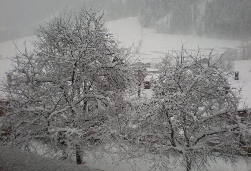 Bed and Breakfast Pension Anderla
