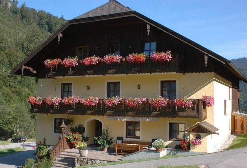 Bio Bauernhof Vordergrubenbach   Familie Oberascher