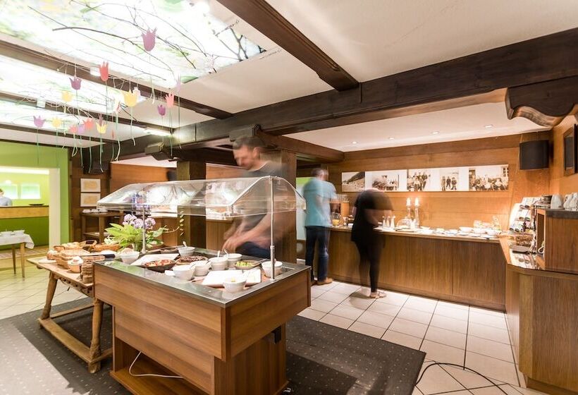 Bio Hotel Stillebach