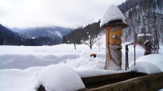 Bauernhof Hauserbauer