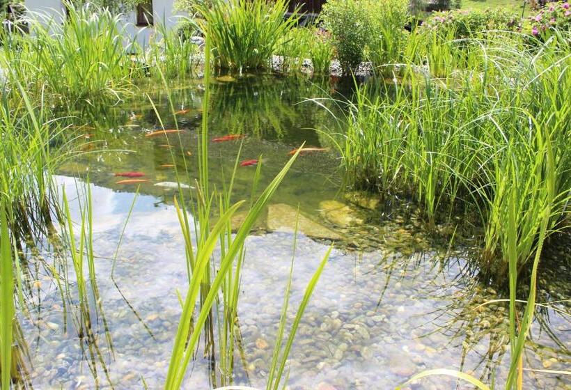 هتل Bäckerei Schranz