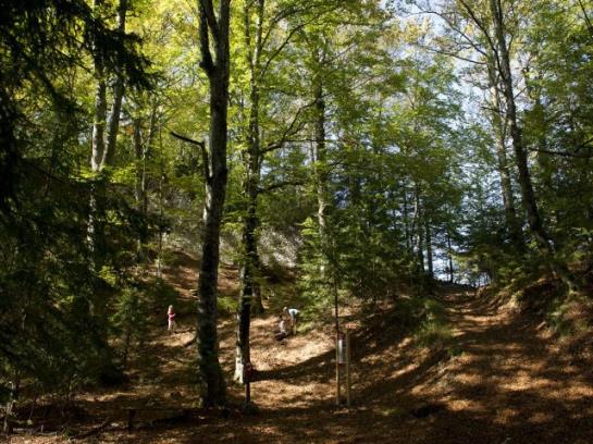 فندق Ferienhaus Hollinger