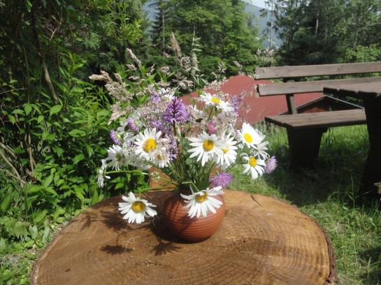 فندق Ferienhaus Hollinger