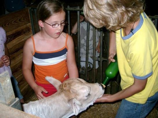 בית מלון כפרי Ferienhof Berger