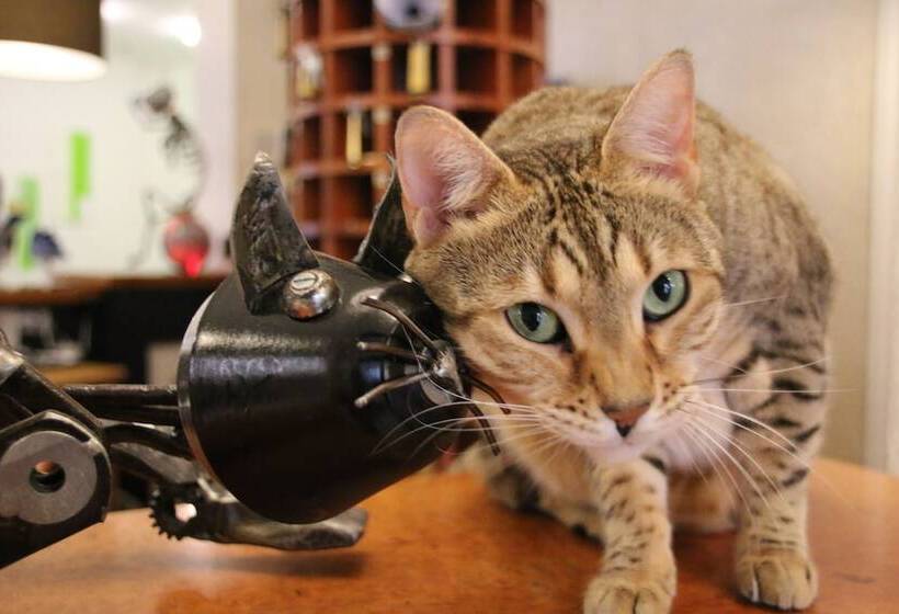 酒店 Freizeittempel