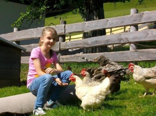 Отель Hochserner-hof