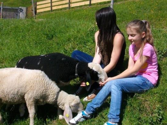 Отель Hochserner-hof