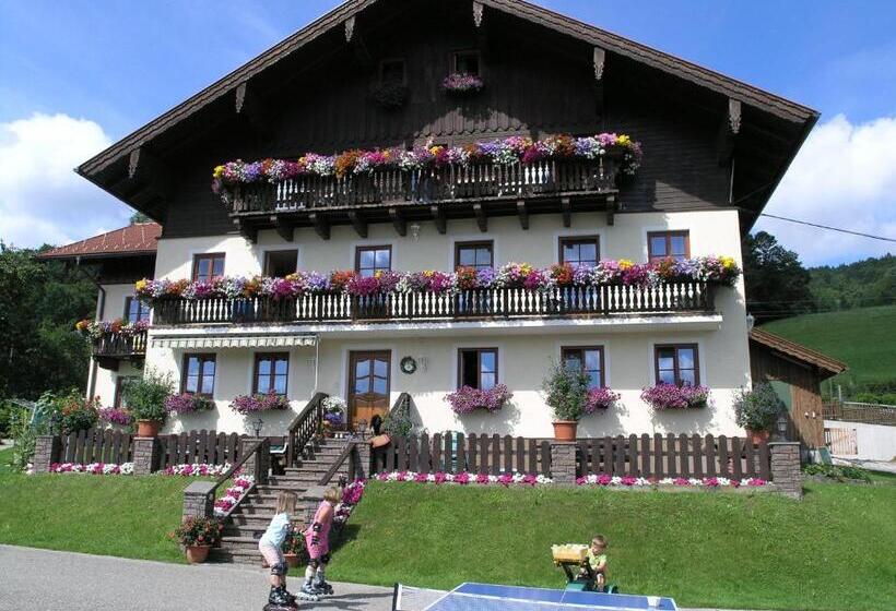 ホテル Nussbaumer Am Irrsee