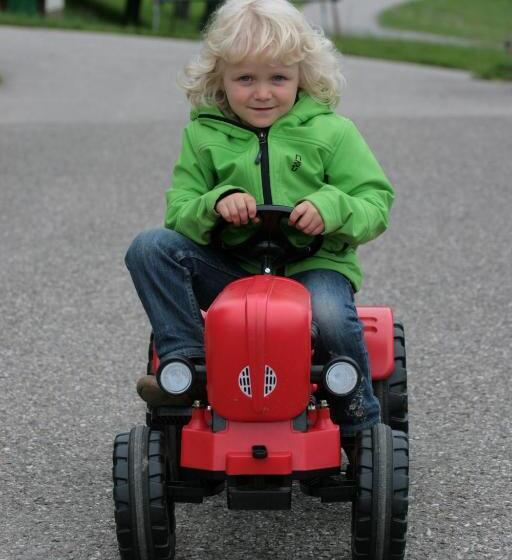 ホテル Nussbaumer Am Irrsee