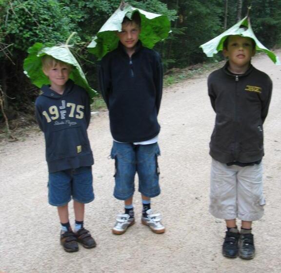 ホテル Nussbaumer Am Irrsee