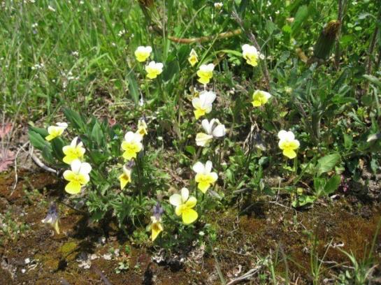 בית מלון כפרי Vitalhof Der Veitenhof