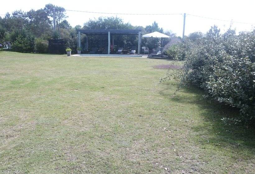 Los Pecados De La Viuda