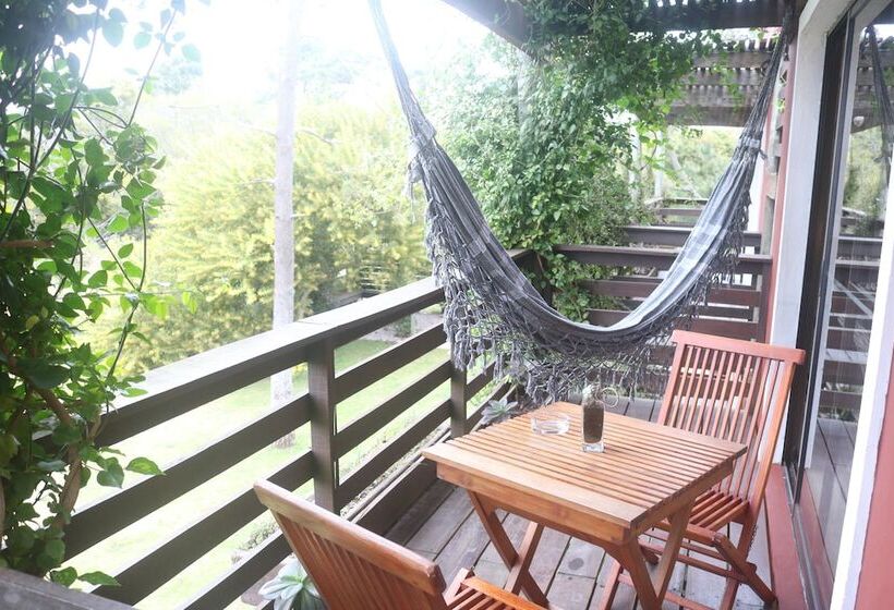 Los Pecados De La Viuda