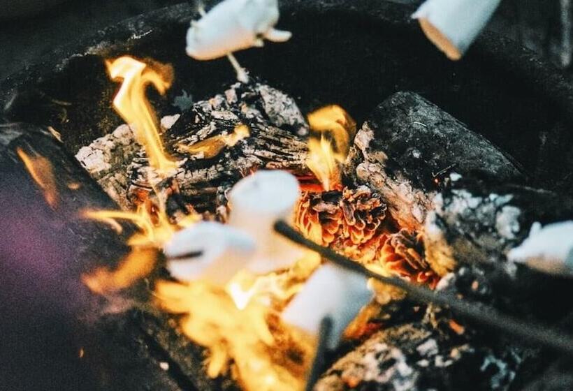 Ruschmeyers #1   Queen