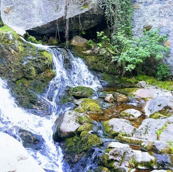 ペンション Room In Guest Room   La Turr De Mezz Lca Nesso